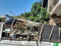 Best Moving and Downsizing Cleanouts  in Monticello, AR